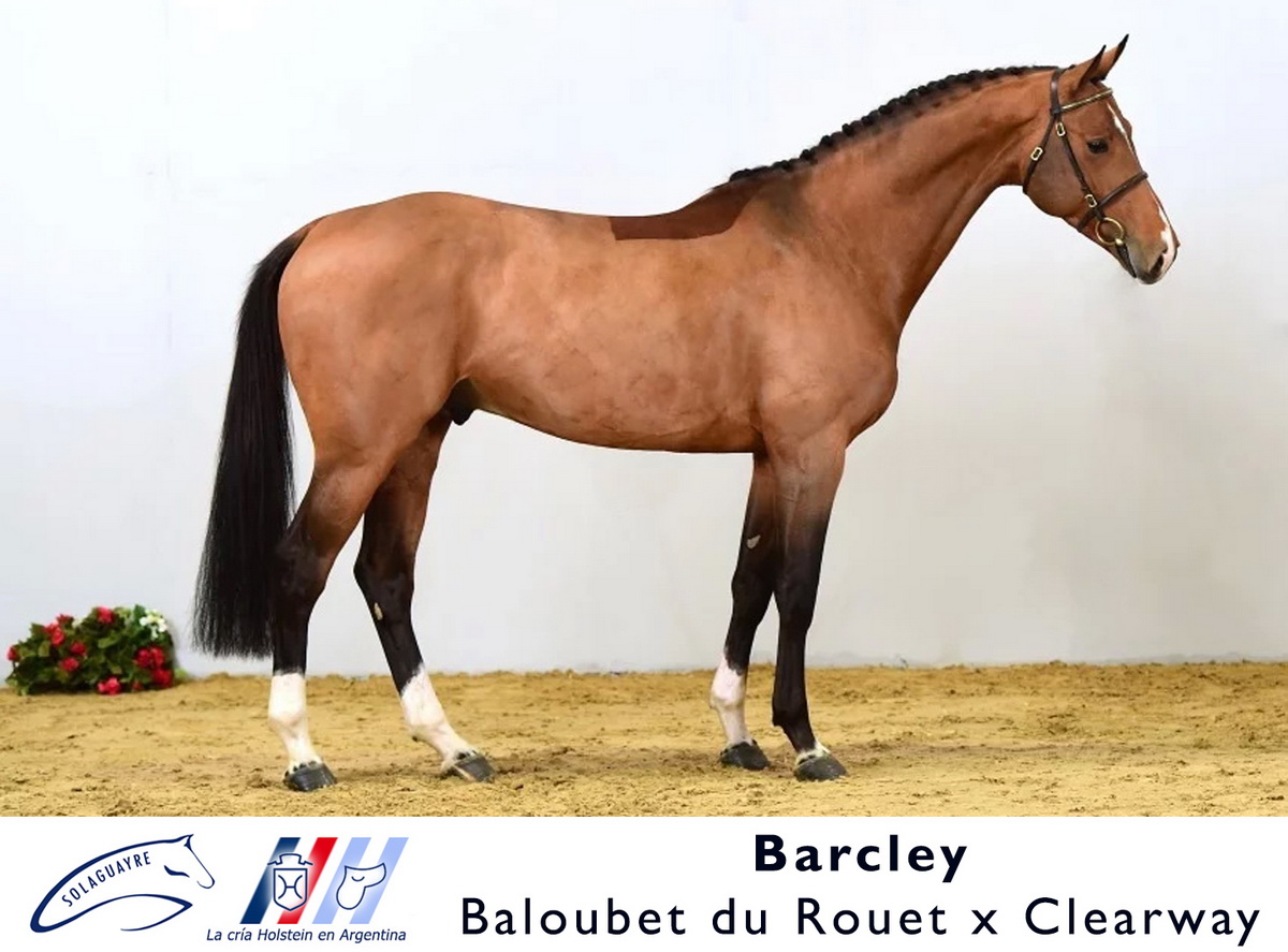 BARCLEY