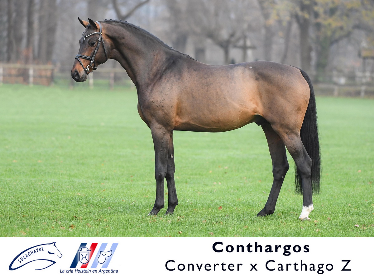 CONTHARGOS