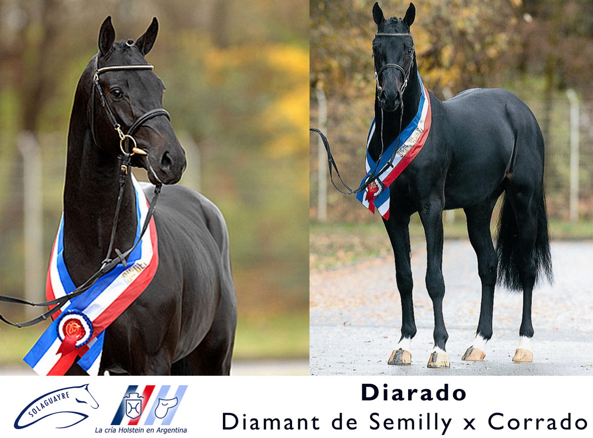DIARADO