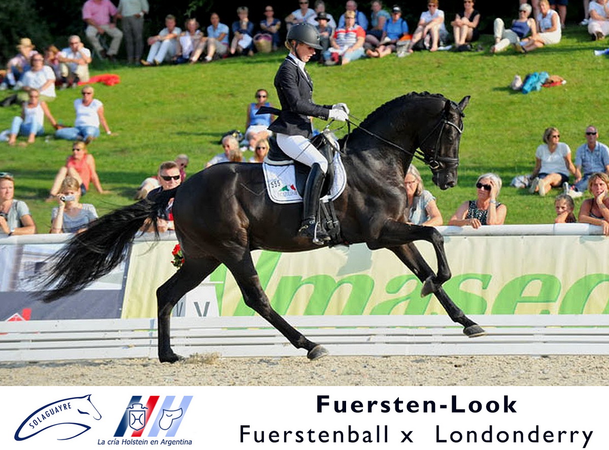 FUERSTEN-LOOK