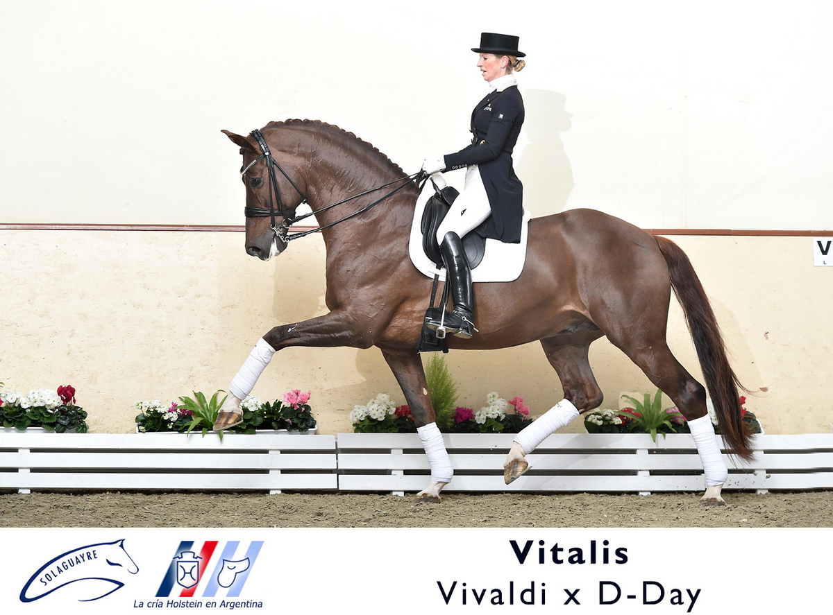 VITALIS