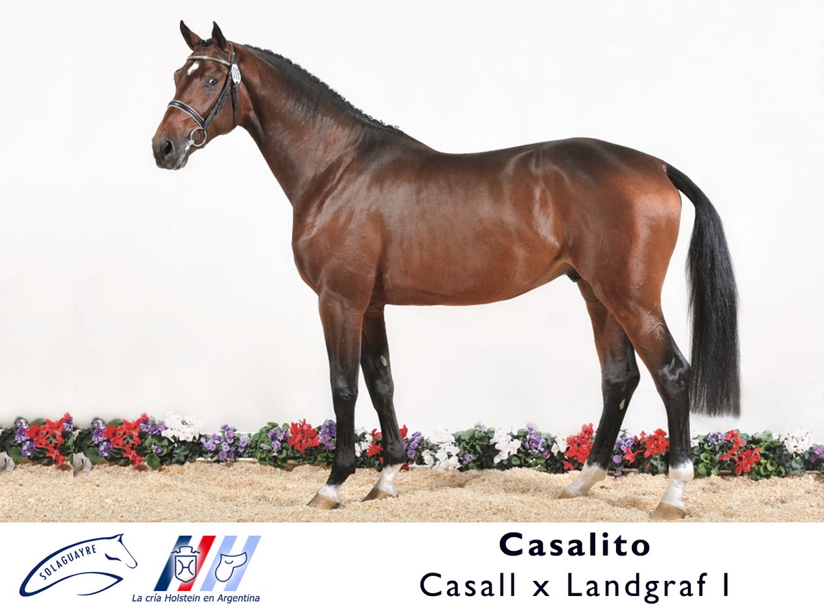 CASALITO